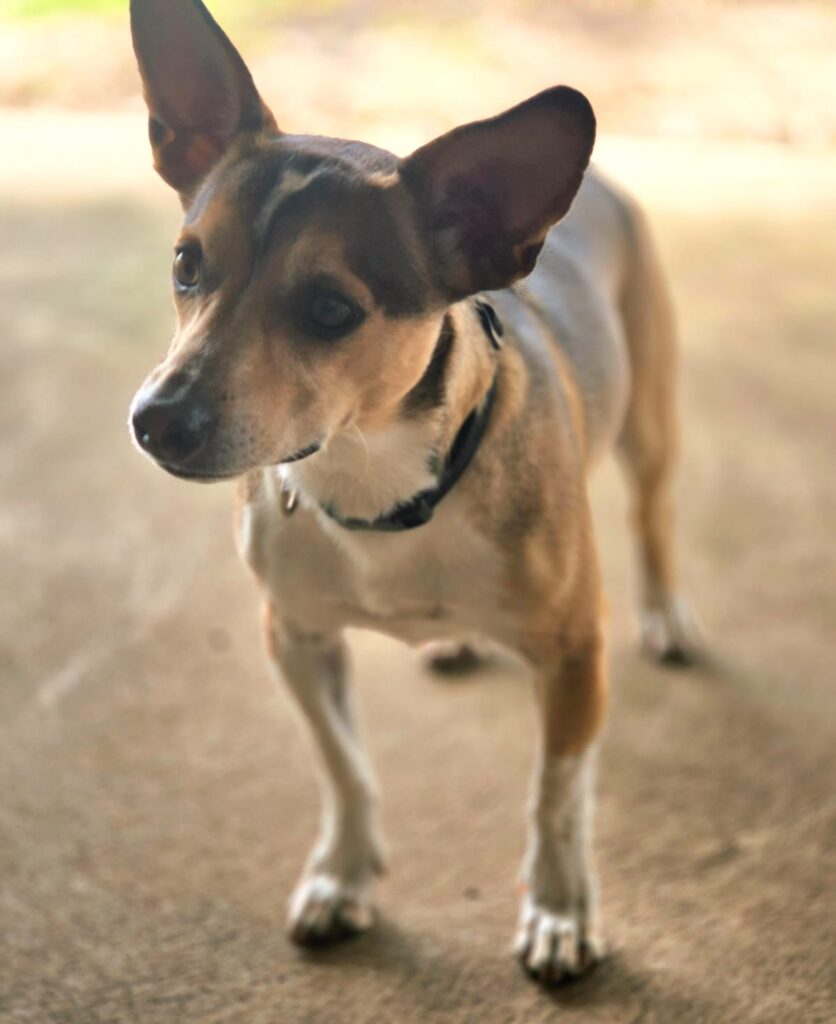 083476b7-6cf7-4c1d-a26c-16352a4be05c