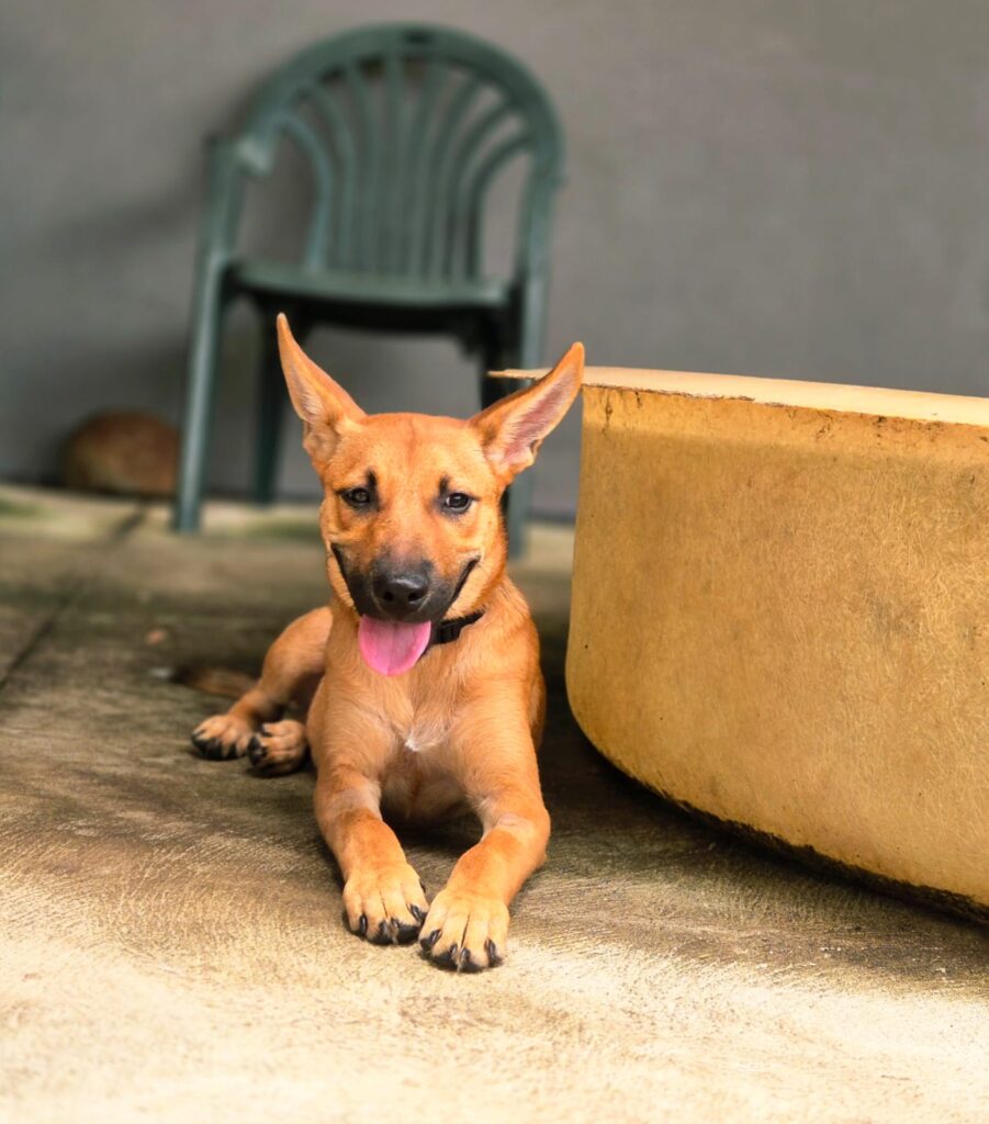 1e6404f7-8f55-4201-93a6-606ce0f029d1