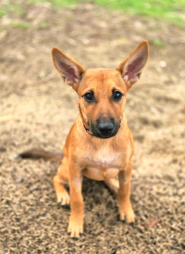 3381eb90-c623-438d-aa49-3caea9451a64