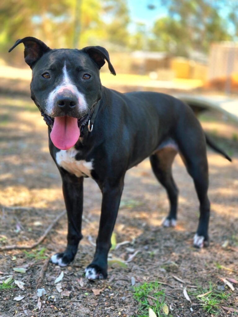 3a85e9c8-08c9-4df0-976d-58840bbf9850