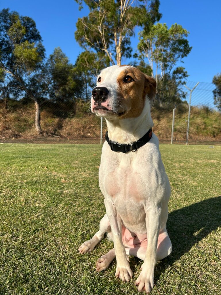 42ede523-106f-47d2-a606-d564064af126