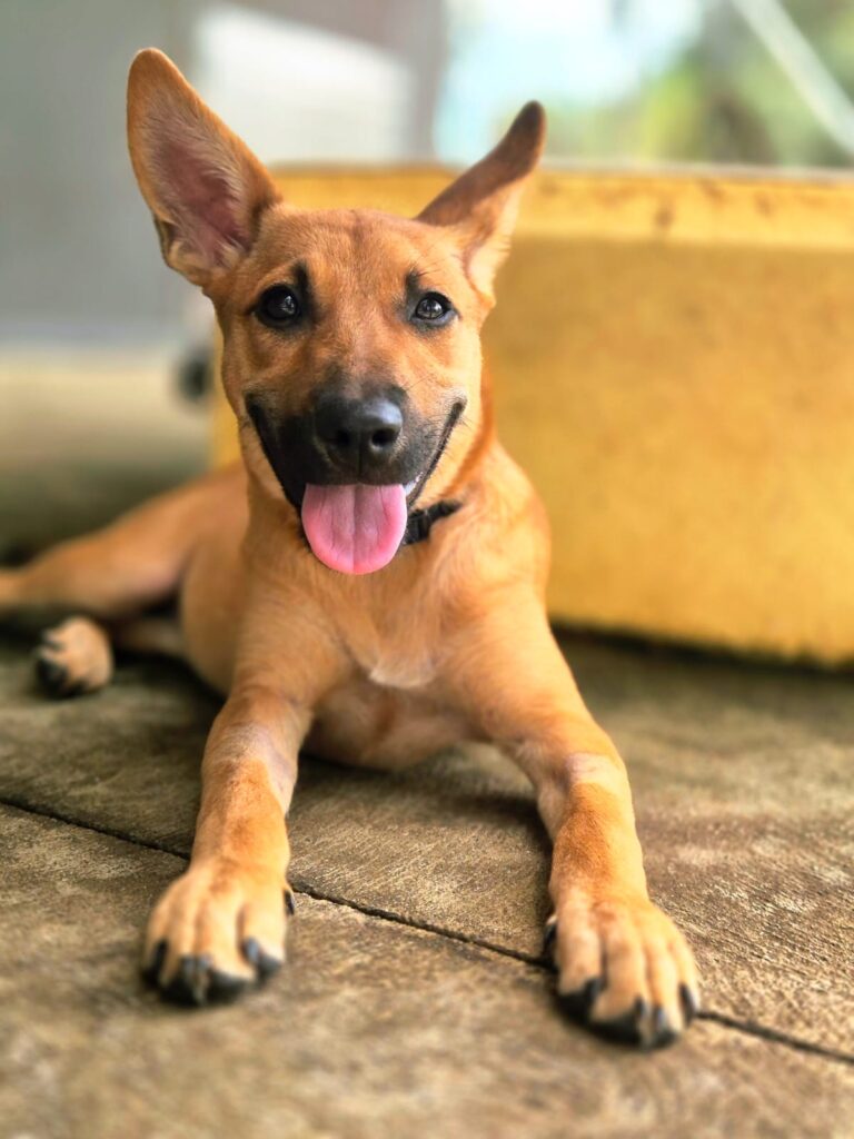 47369faa-38df-412e-b266-631443c11e9d