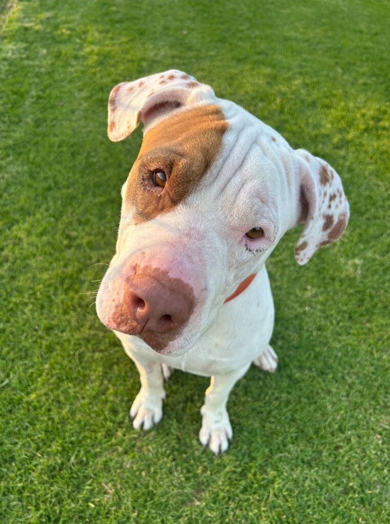 480291f6-a68b-4441-bbb2-a519b27544c6