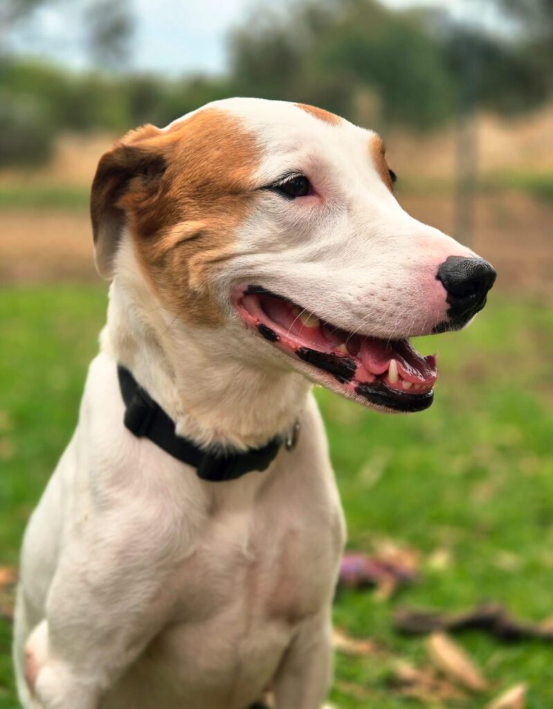 524ae315-0368-4d24-b74e-a12593615b53