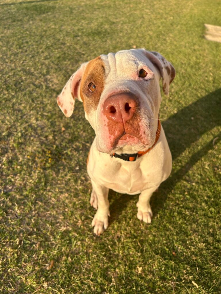 601b6feb-c62d-439b-bbc9-57b46ba512a9