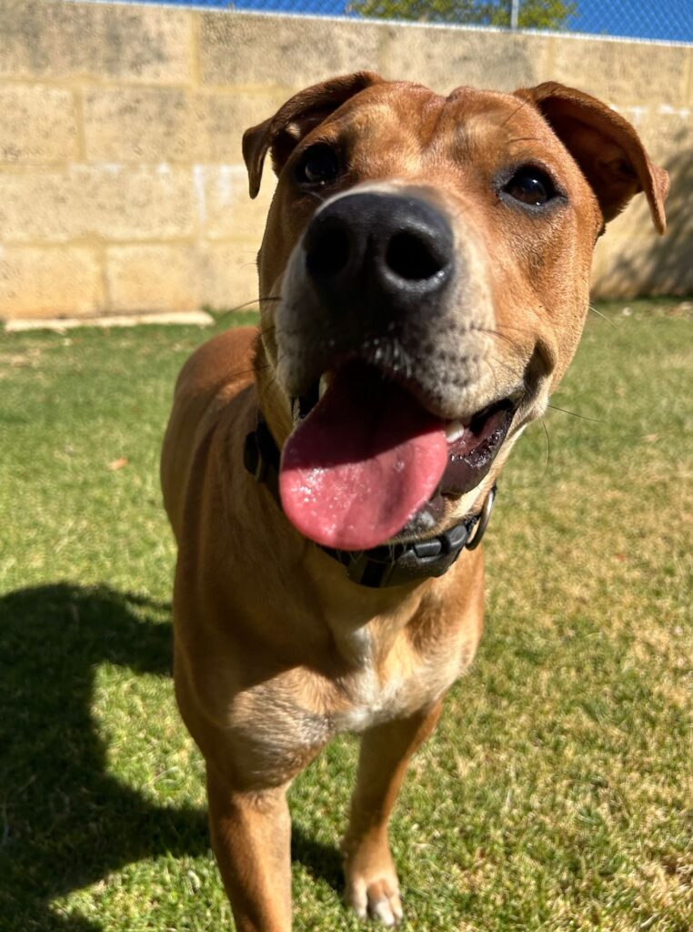 6cfd9c11-4327-4cb4-9d53-949cf6f571d7