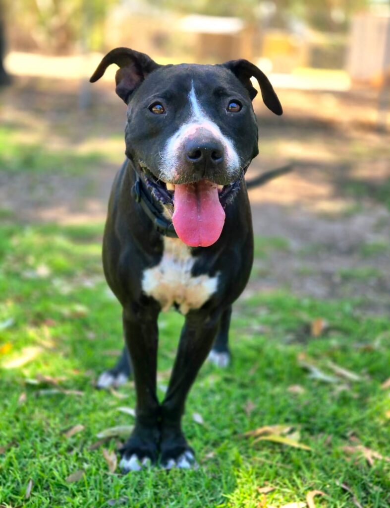 795baf83-f403-4bb1-85d5-a4ef19a03eaf