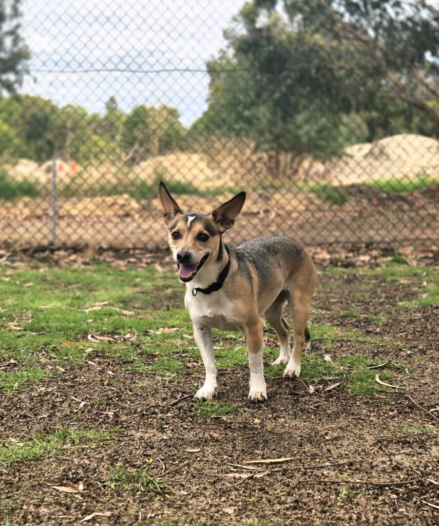 82cd45e6-152f-44e1-addd-35132a4174d0