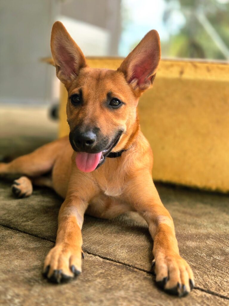 85ef596d-5dd4-41b5-aca4-58278da57a57