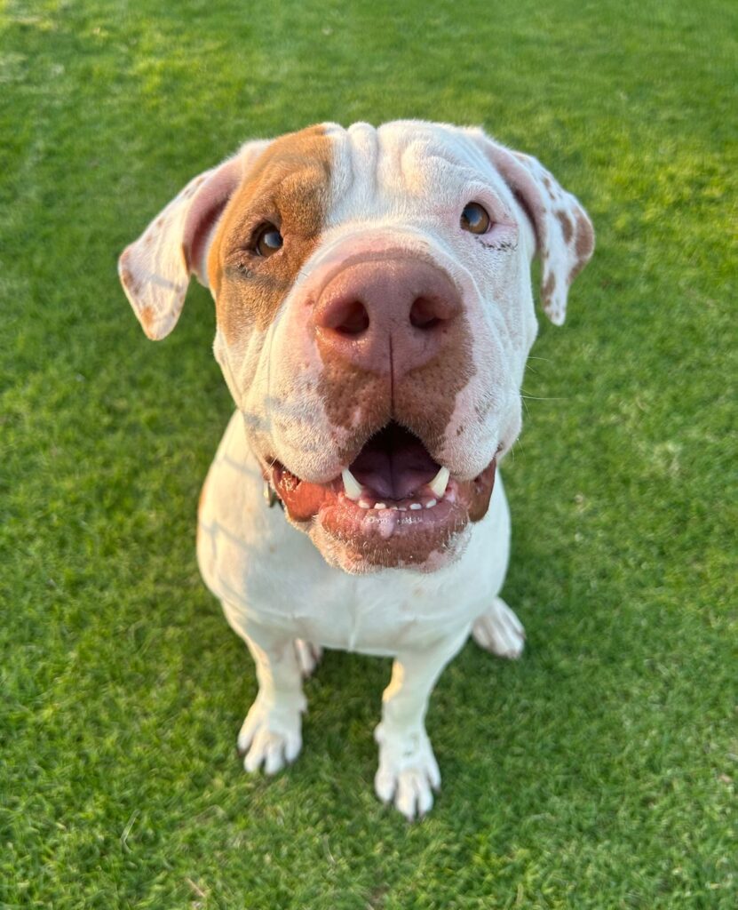 a5df0985-0bf9-49a5-8b81-84ebe01241fa