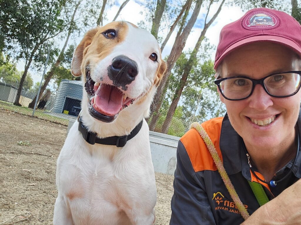 a9ebe582-ec2b-4313-94fd-bcbd0204b5ff