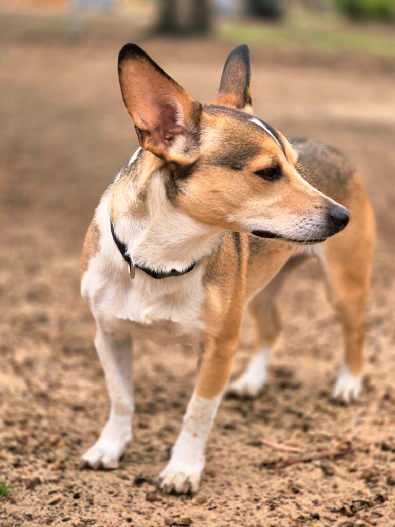 b77d1134-97b0-40aa-9431-fbd6d4469d4d