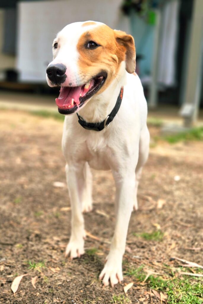 ba9345c5-e6a7-448f-82fc-7a42d3694164