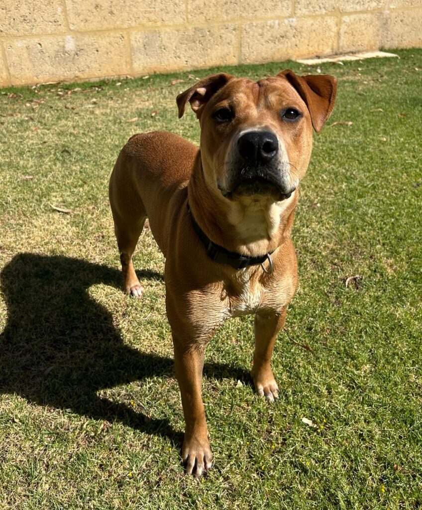 bb06b07d-c9c4-48ca-af23-d885869ce740