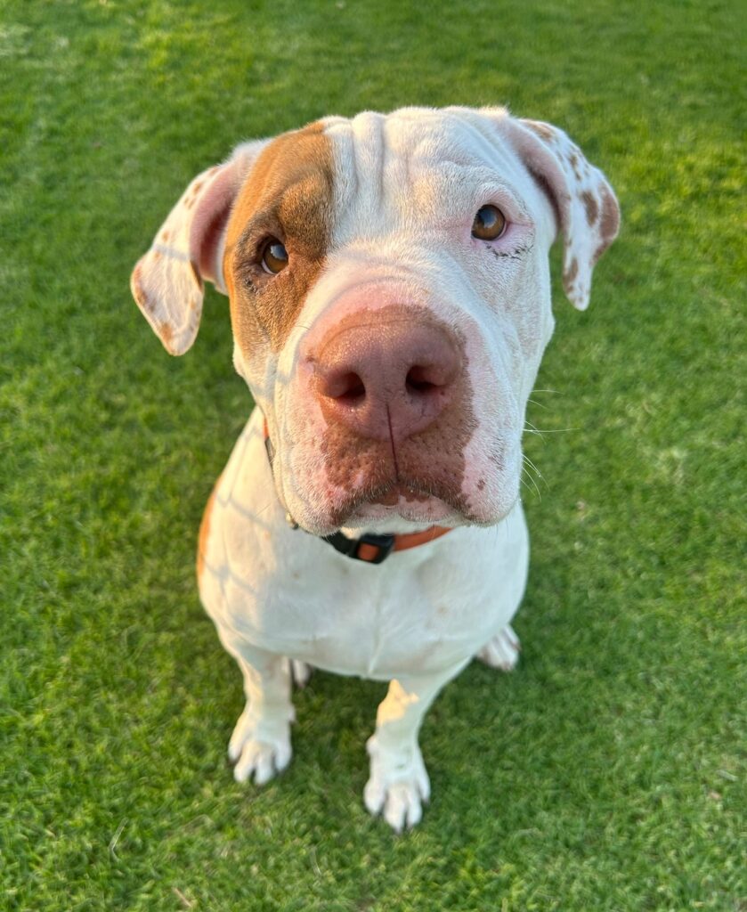 be063be3-2018-475b-9f3a-5084ee7e569f