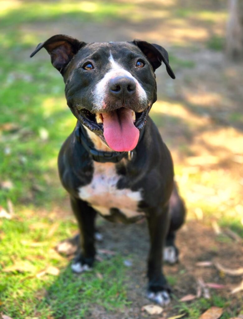 bf4df8d3-b683-47da-8937-5eb5c9c10dc2