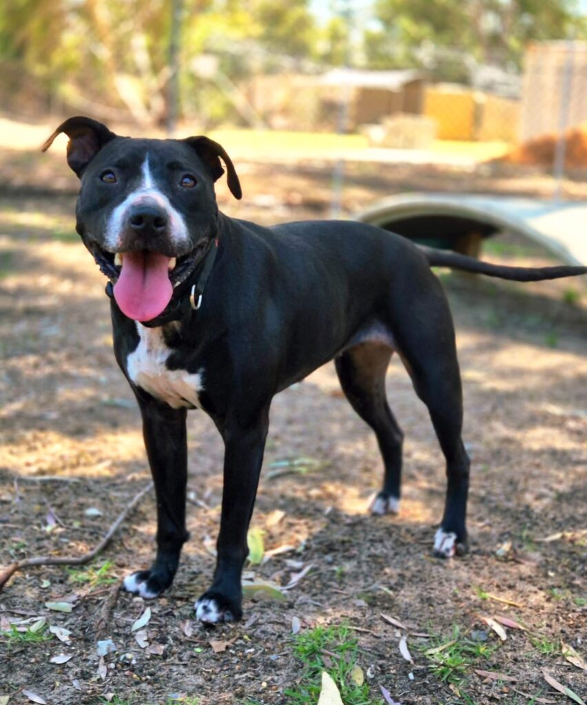 c1226187-4721-42ce-a5ae-c44850b79d51