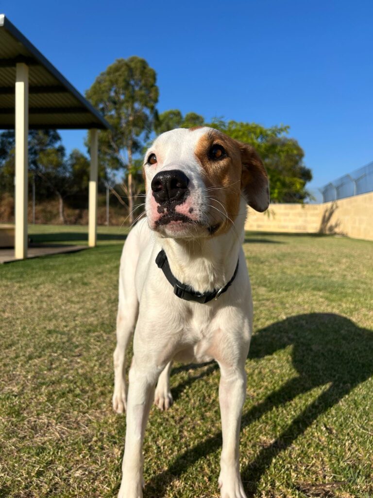 cf26205a-ea89-4e07-883c-592eb1ac9054