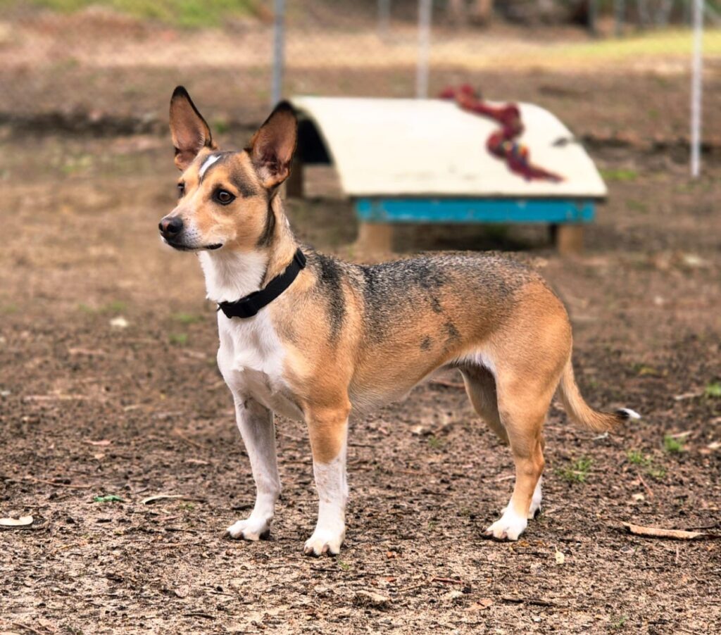 d0709ee0-0c0d-495d-b259-91fdfd076cde