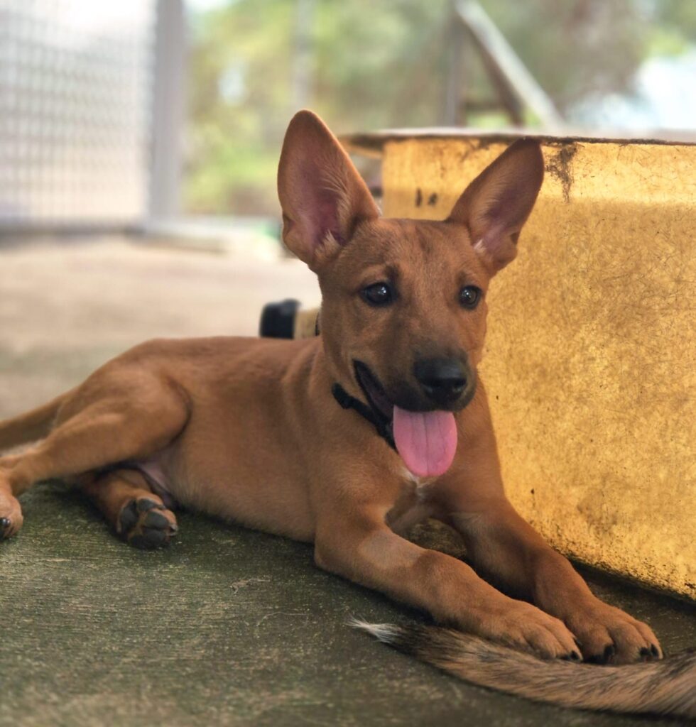 d6c29b87-c005-4bbd-8e8d-e0f3dfc431a6