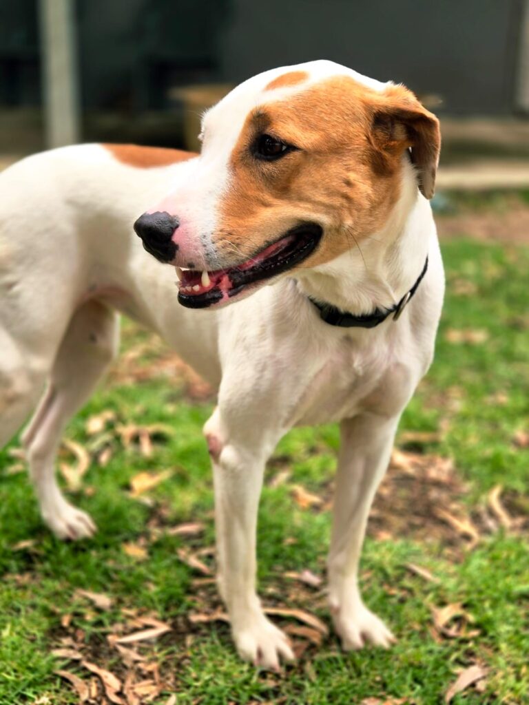 edf210d0-2c74-47e0-bc7b-18fda98ced44