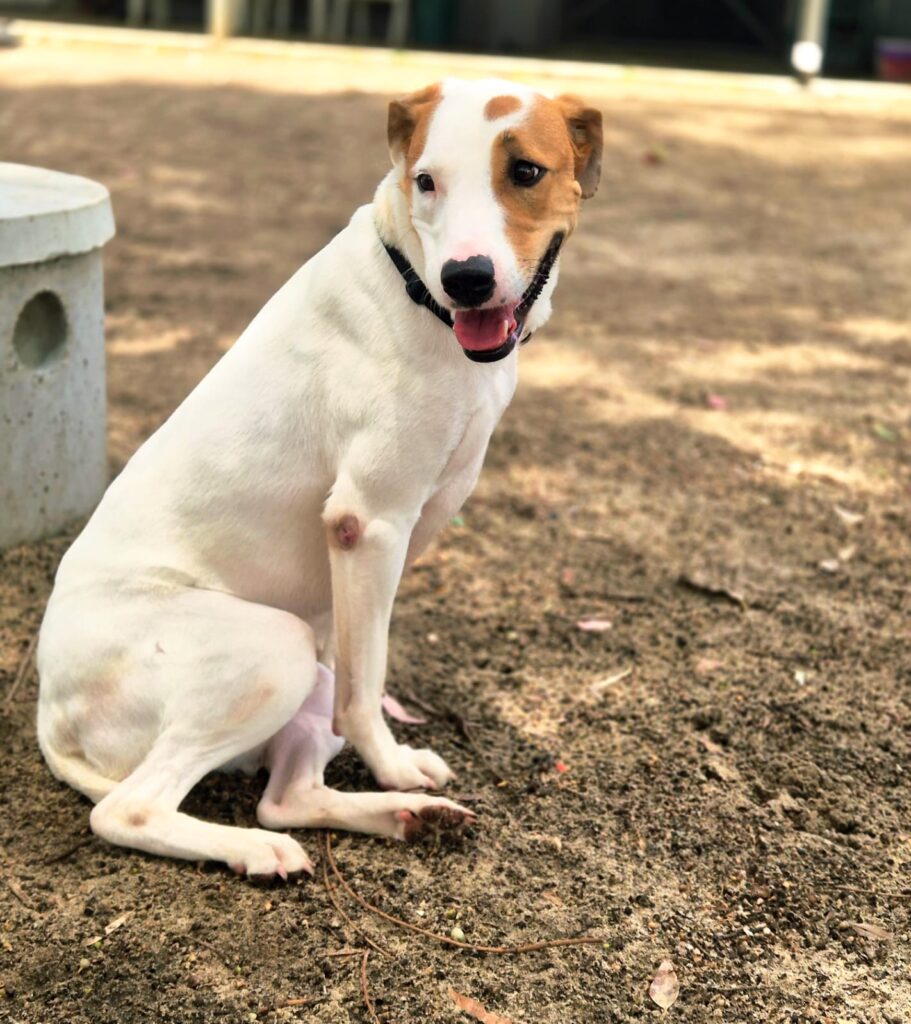 efd6e3cf-3008-4f25-822b-a4d491e04e85