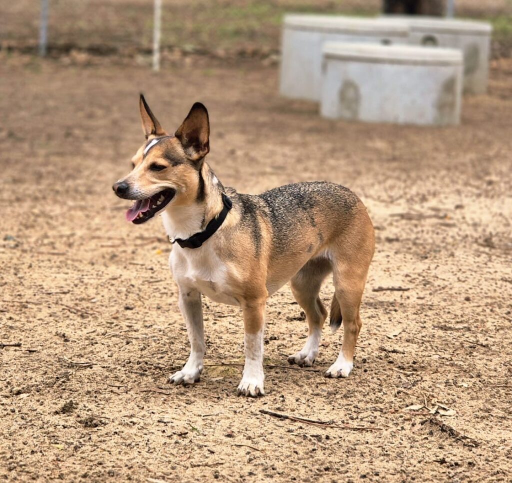 f89ef77e-727d-4dae-94eb-0bfcad7b26ac