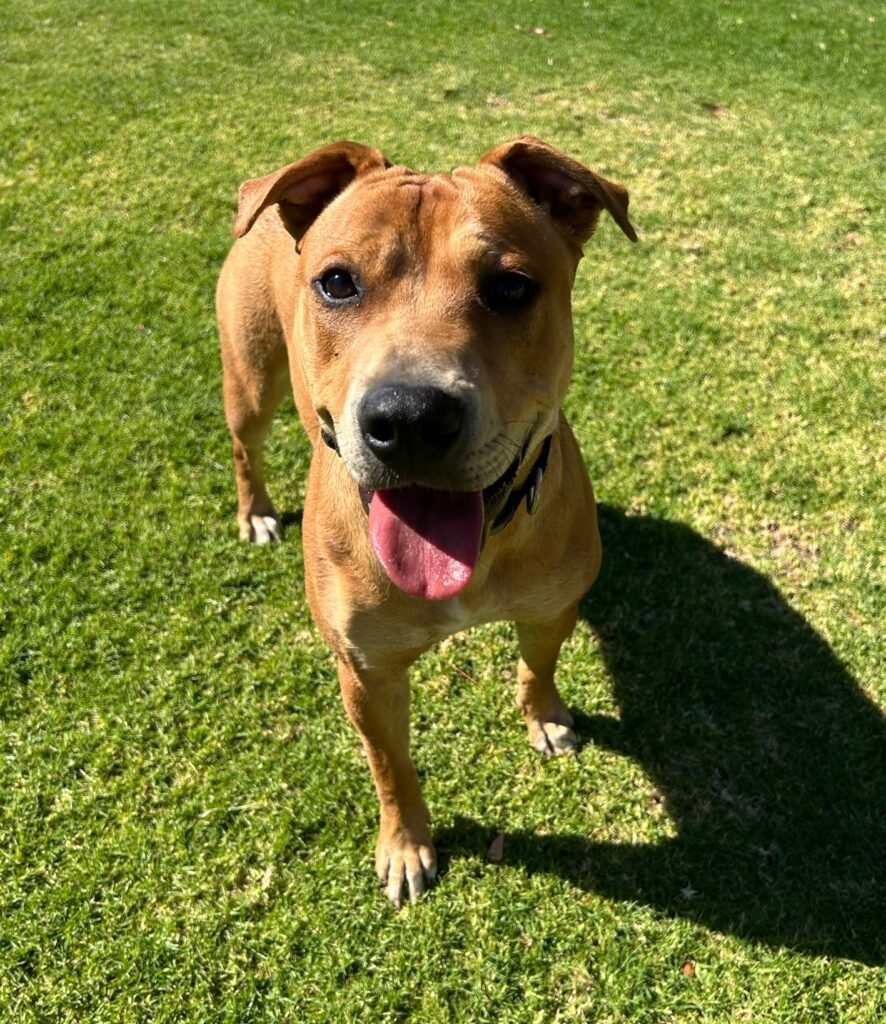 5850eef6-48c2-490d-a2c4-0d12537e2665