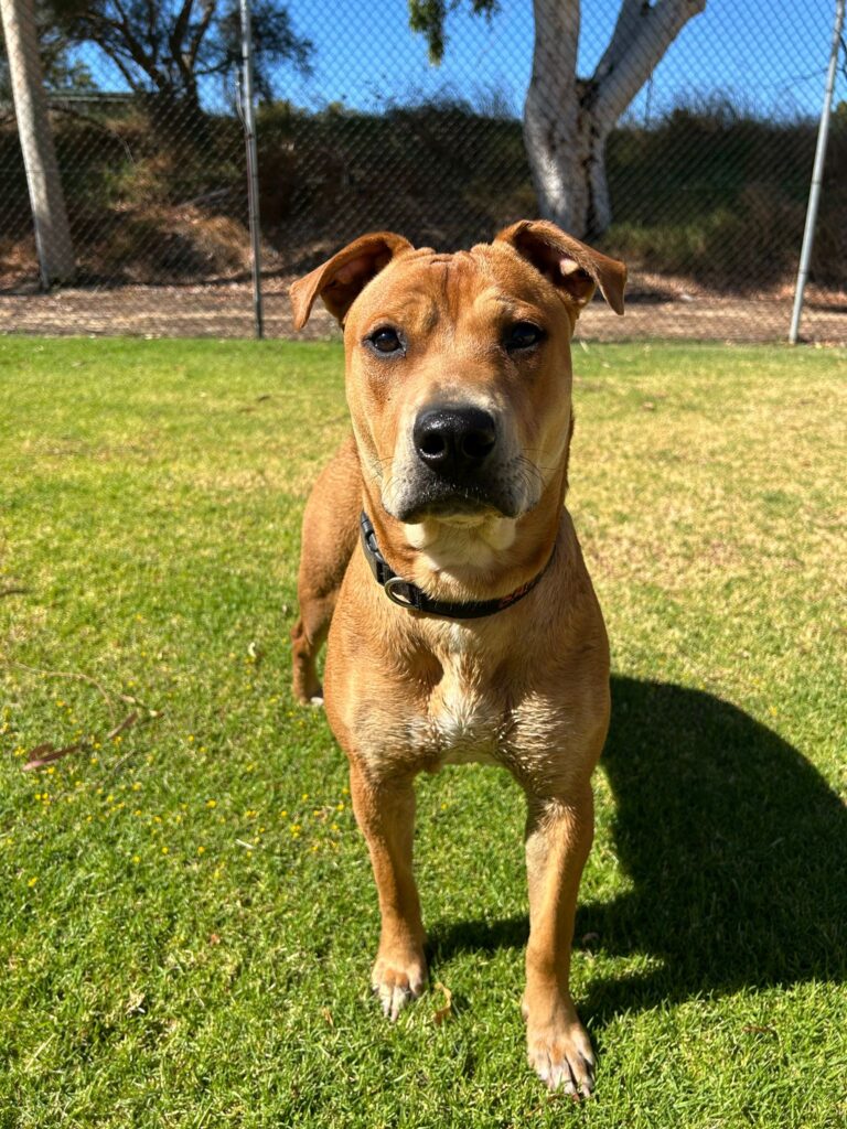 793aa401-e451-49e6-a397-dfa3ddb7ed81