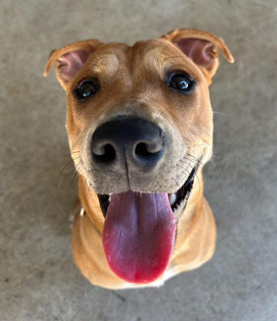 ab657874-2876-4112-86fc-c1d4fef20a63