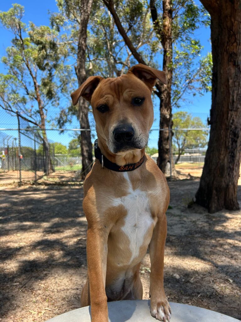 b3662459-d2ce-48cb-bd81-fcfa74af4c72