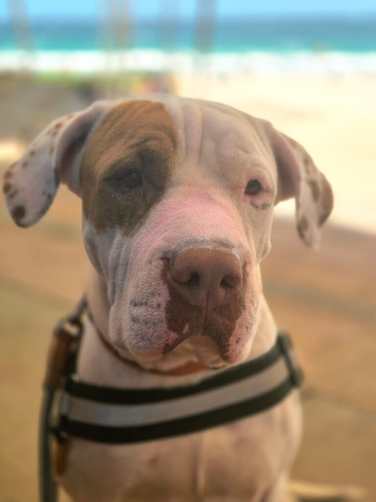 cf66ba2d-a081-4ec7-94c1-f5d8ff417d11