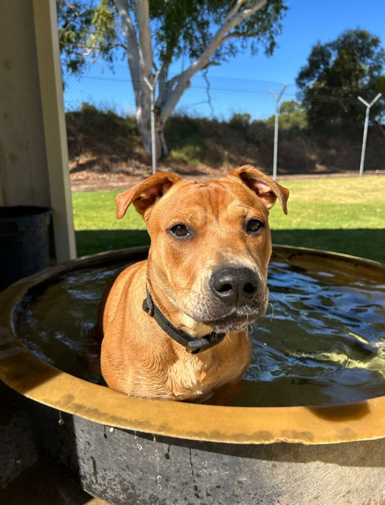 d206c981-8e62-485b-8a80-aeab621d35df