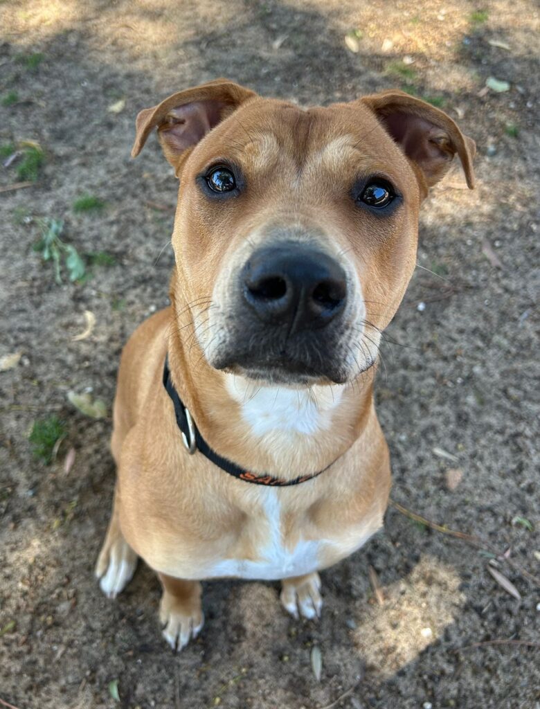 dd20196a-4d6c-42af-a7e1-4348c804f561