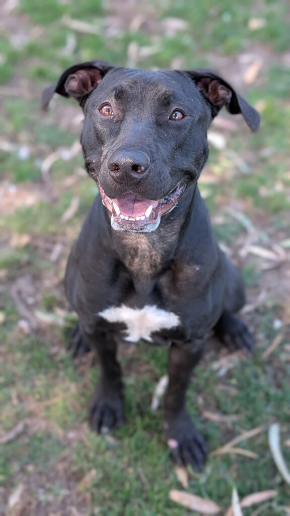Lucy