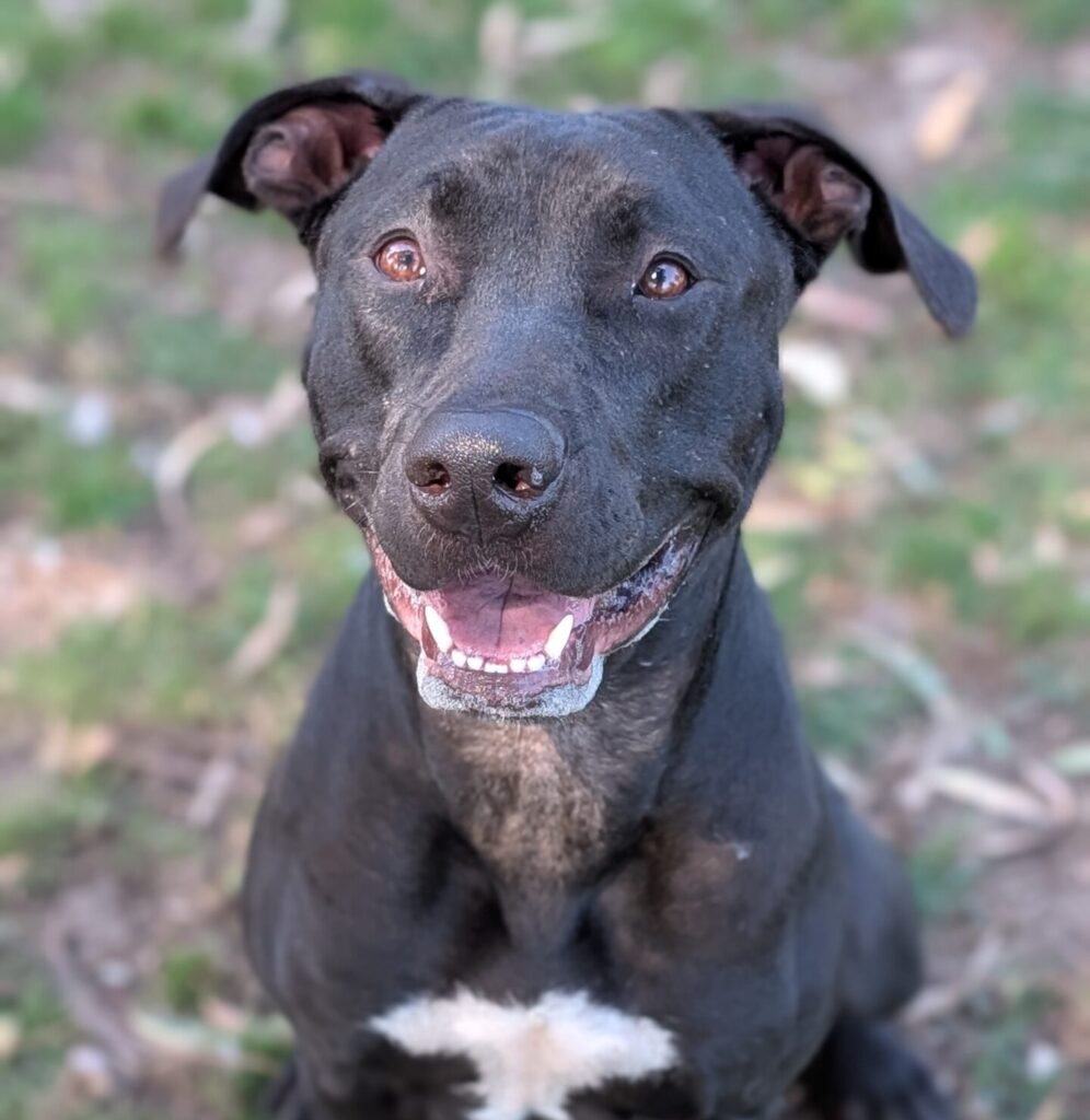 Lucy